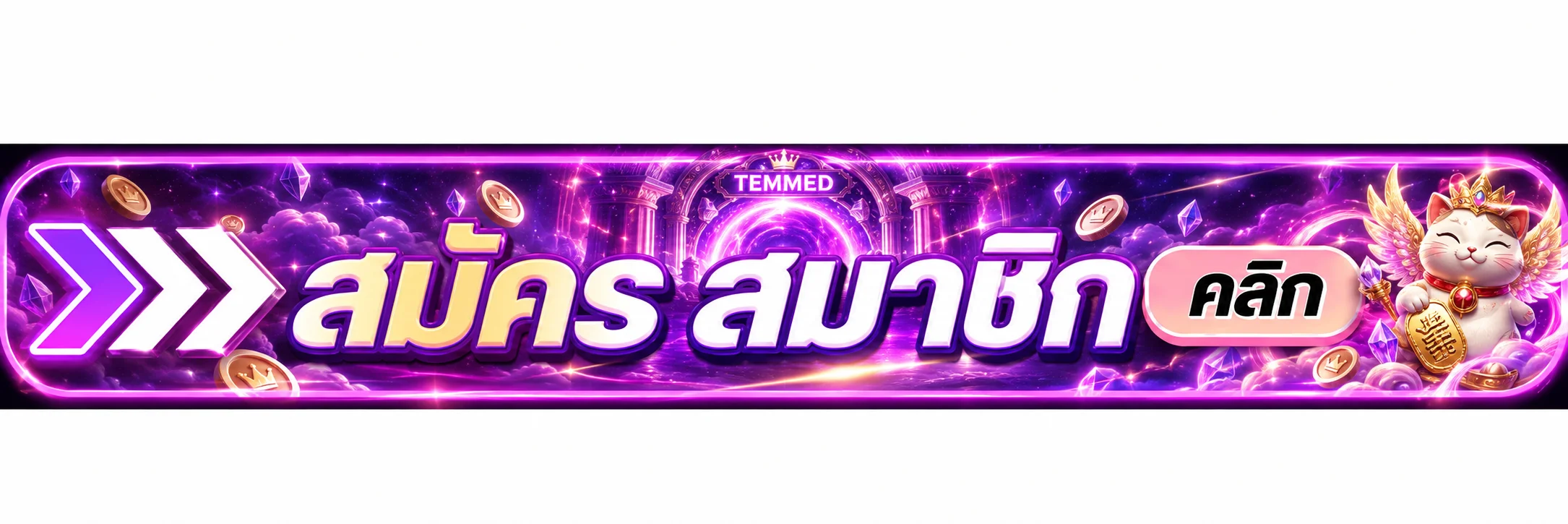 TEMMED ทางเข้าอย่างปลอดภัยบนอุปกรณ์ส่วนตัว